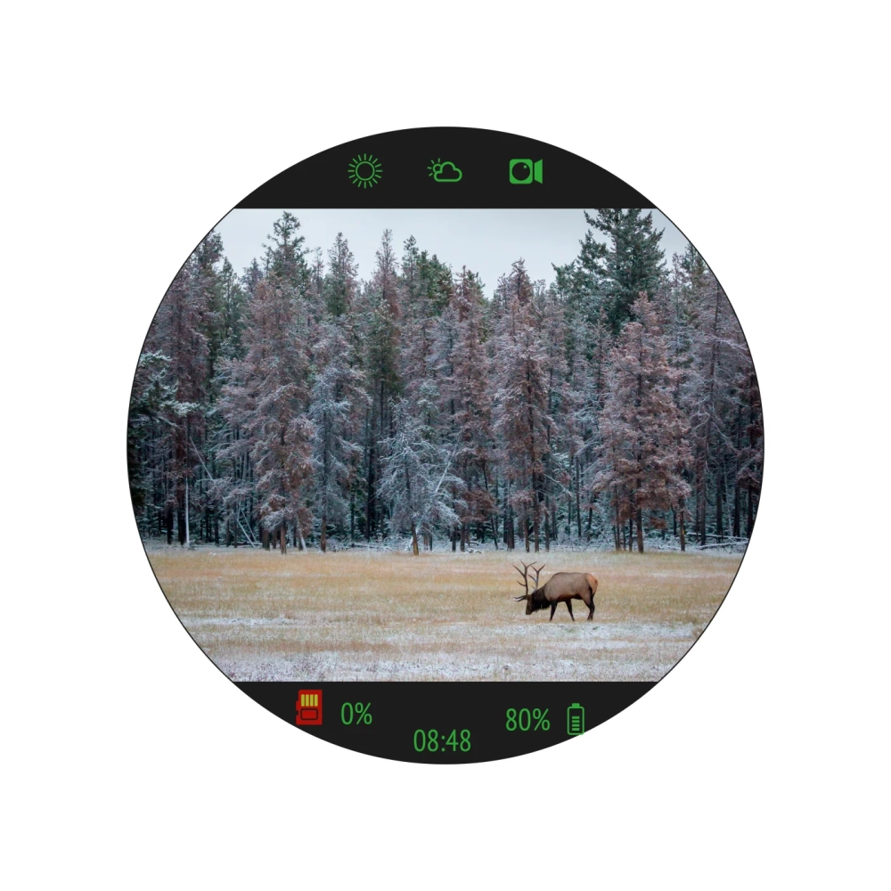 Прицел цифровой Veber DigitalHunt R25X4-32 ночной