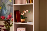 Конструктор LEGO Botanical Collection 10343 Мини орхидея
