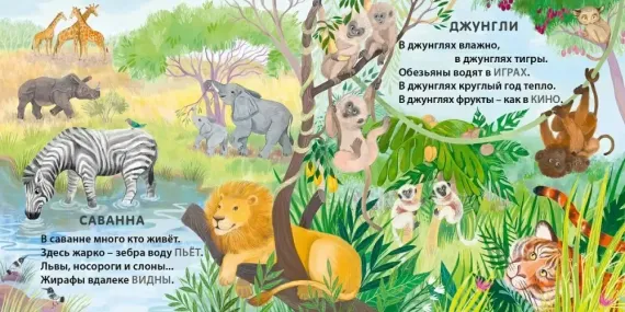 Книжки - картонки. Загадки - рифмы. Кто где живет