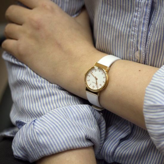 Женские часы Skagen SKW2290