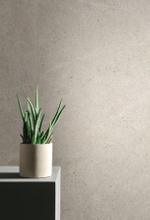 Creatile Stone And Marble Олимп Серый 60x120