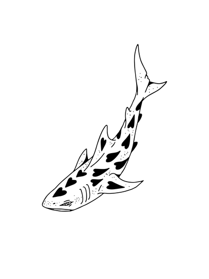 shark