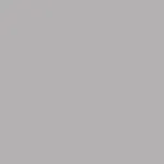 Фон бумажный Falcon Eyes BackDrop PRO 2.72x11 Pursuit Grey (21) серый