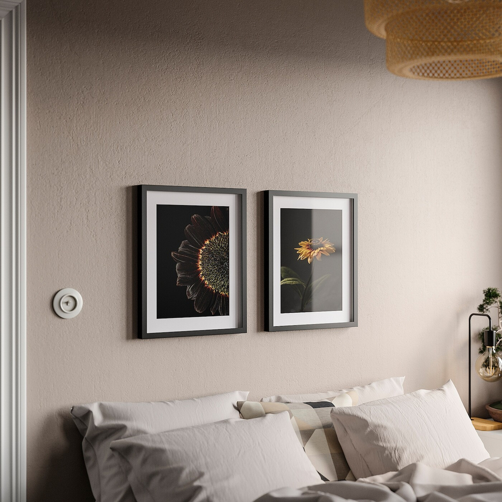 IKEA RÖDALM (ИКЕА РОДАЛМ) — Рамка для плаката, подсолнухи, 40x50 см, фото 4