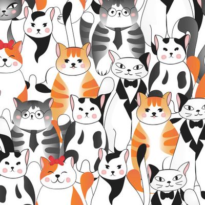 Разные котики