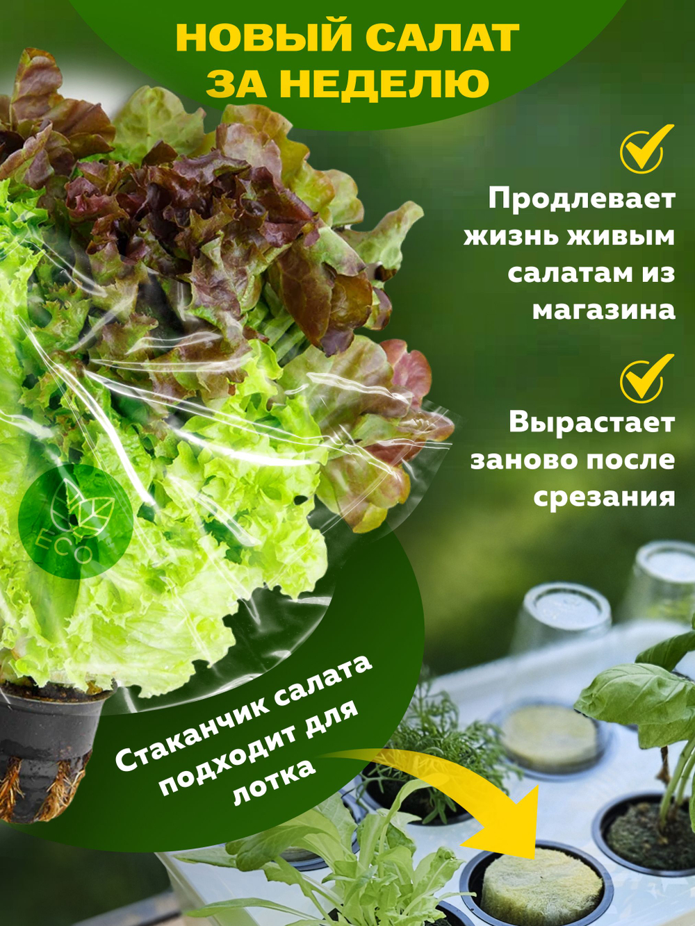 Система выращивания АГРОЛО Оптимальная Черная c аэратором, Настольная садовая ферма, Гидропоника