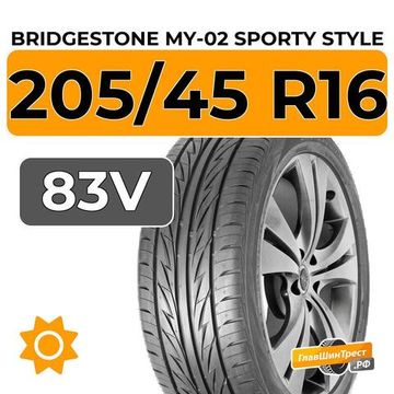 Bridgestone MY-02 Sporty Style 205/45 R16 83V