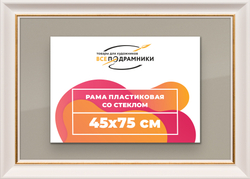 Рамка 45x75 для постера и фотографий