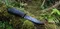 Morakniv Companion Tactical
