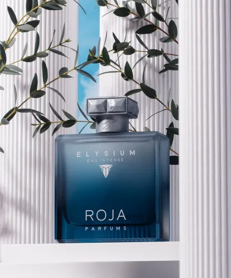 Roja Parfums Elysium Eau Intense men edp 100 ml