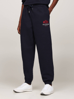 Спортивные штаны VARSITY Tommy Hilfiger - темно-синий(WW0WW42884)