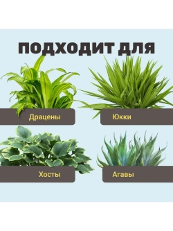 Органический грунт для драцены и юкки 5 л