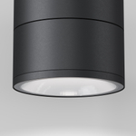 Уличный потолочный светильник Outdoor O310CL-L12GF3K
