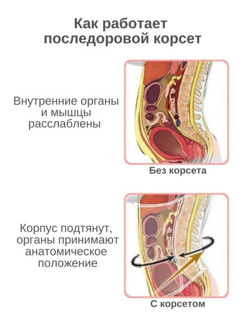 Бандаж после родов и кесарева сечения, послеоперационный абдоминальный пояс
