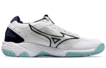 Mizuno Wave Supersonic "White Grey Sky Blue"