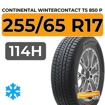 Continental WinterContact TS 850 P 255/65 R17 114H