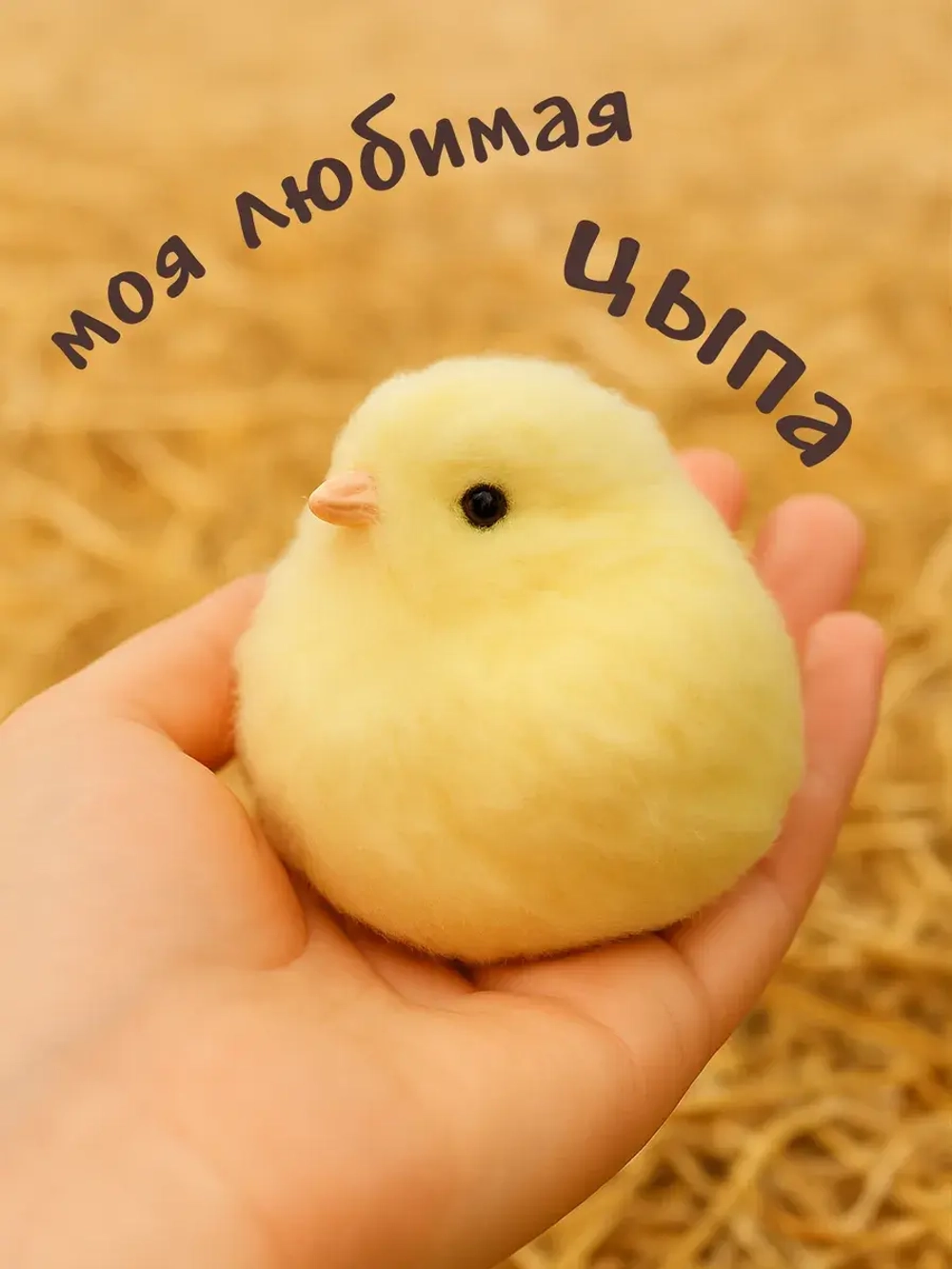 Антистресс таба сквиш цыпленок