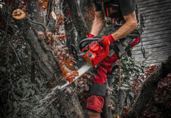 Аккумуляторная цепная пила Milwaukee M18 FTHCHS30-802 FUEL 4933479587