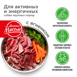 Корм сухой для взрослых собак крупных пород, премиум полнорационный комплекс, для активных и энергичных, с ягненком, 2,5 кг, QUATTRO