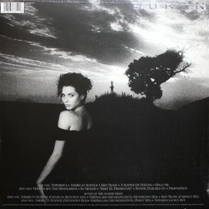 Duran Duran / Notorious (2LP)