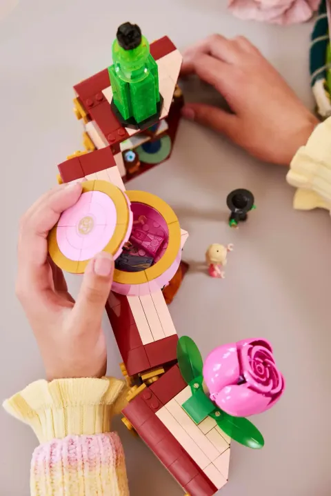 Конструктор LEGO Wicked 75683 Дом Глинды и Эльфабы