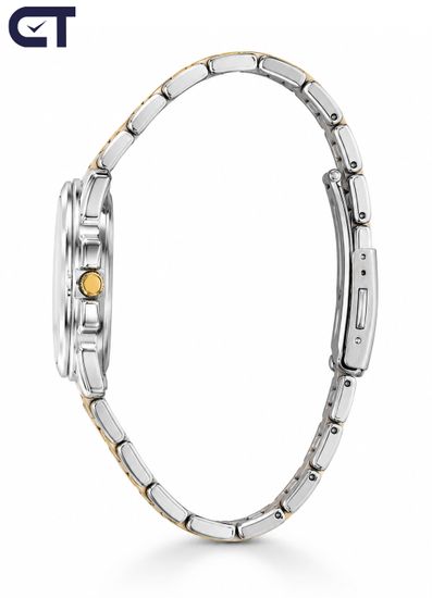 Casio LTP-1314SG-1A General часы наручные женские — двухцветная классика с чёрным циферблатом