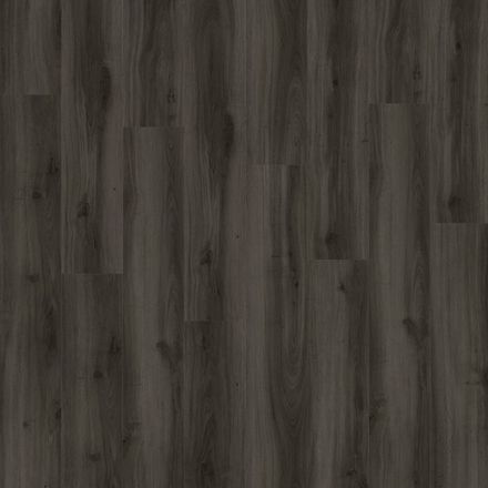 Moduleo Next Acoustic Tradition Oak 890