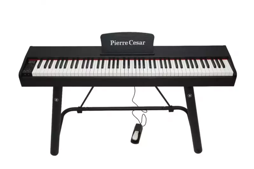 Pierre Cesar DP-121-H