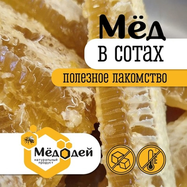 МЁД В СОТАХ