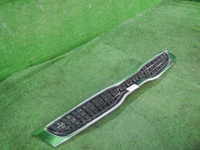 DSCN5557.JPG