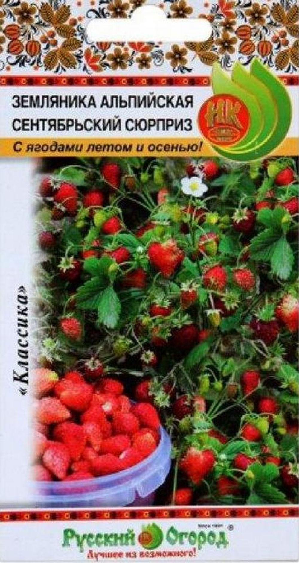 zemlyanika-sentyabrskij-syurpriz-alpijskaya-russkij-ogorod-nk