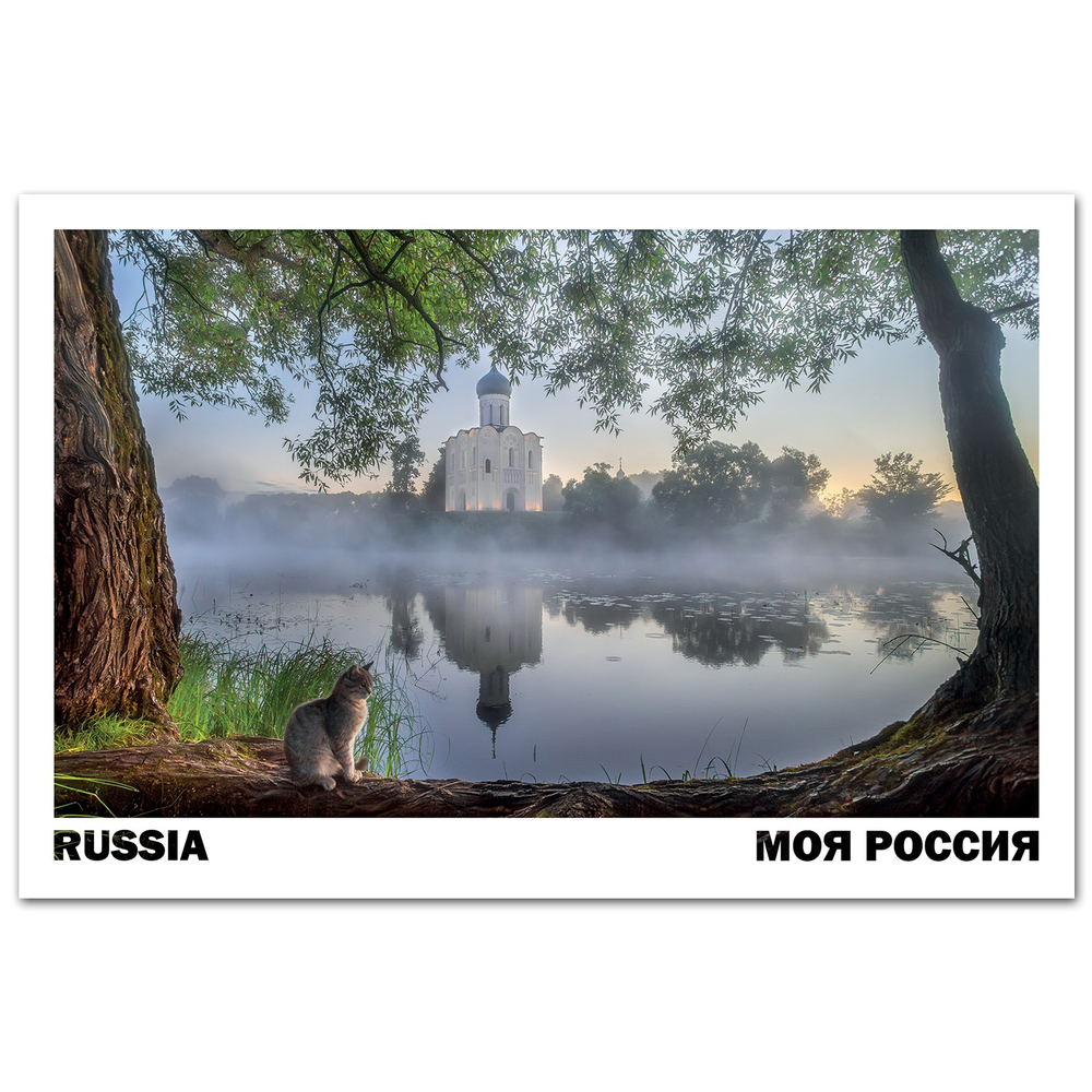 Церковь Покрова на Нерли, Владимирская область