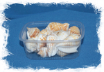 Стромбус Маргинатус, 4-6см, 100гр, 15шт