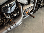 Harley-Davidson Nightster, 2022
