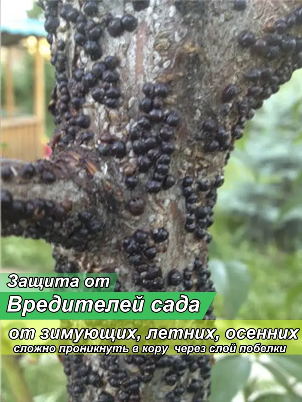 Негашеная известь для погреба 10 кг средство от грибка