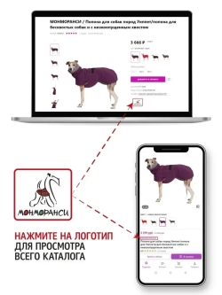 Дождевик для собак Корги комбинезон