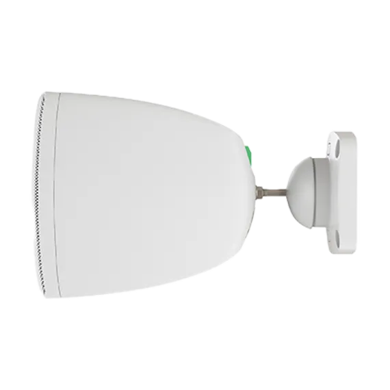 CVGAUDIO ODF3TW настенная акустическая система