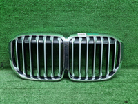 Решетка радиатора BMW X7 G07 (2019-2022)