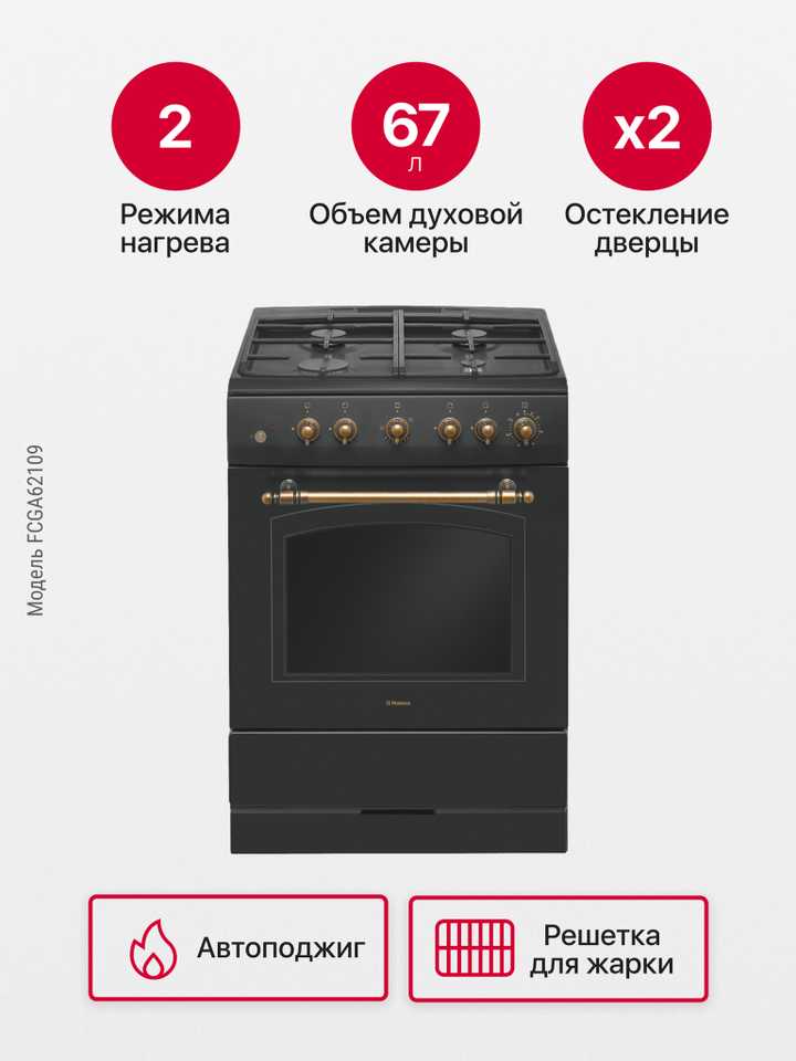 Газовая плита Hansa FCGA62109