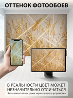 Фотообои 3D в спальню и для зала Колосья