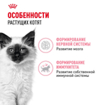Royal Canin Kitten Киттен Корм влажный для котят в период третьей фазы роста в возрасте до 12 месяцев желе 85г