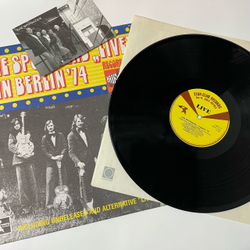 Винтажная виниловая пластинка LP The Spotnicks Live in Berlin 74 (Швеция 1988)
