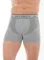 Трусы мужские  боксеры Brubeck Comfort Cotton Short Boxer BX00620