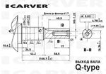 Двигатель бензиновый Carver EX200