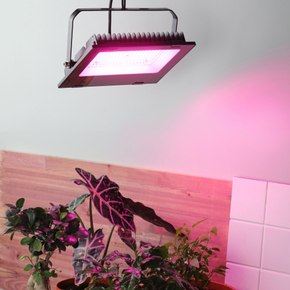 Фитопрожектор для растений светодиодный ЭРА FITO-100W-RB-LED для цветения и плодоношения красно-синего спектра 100 Вт | Фито прожекторы