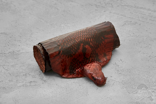 Кожа змеи с головой 1100х105мм (коричневая глянцевая)