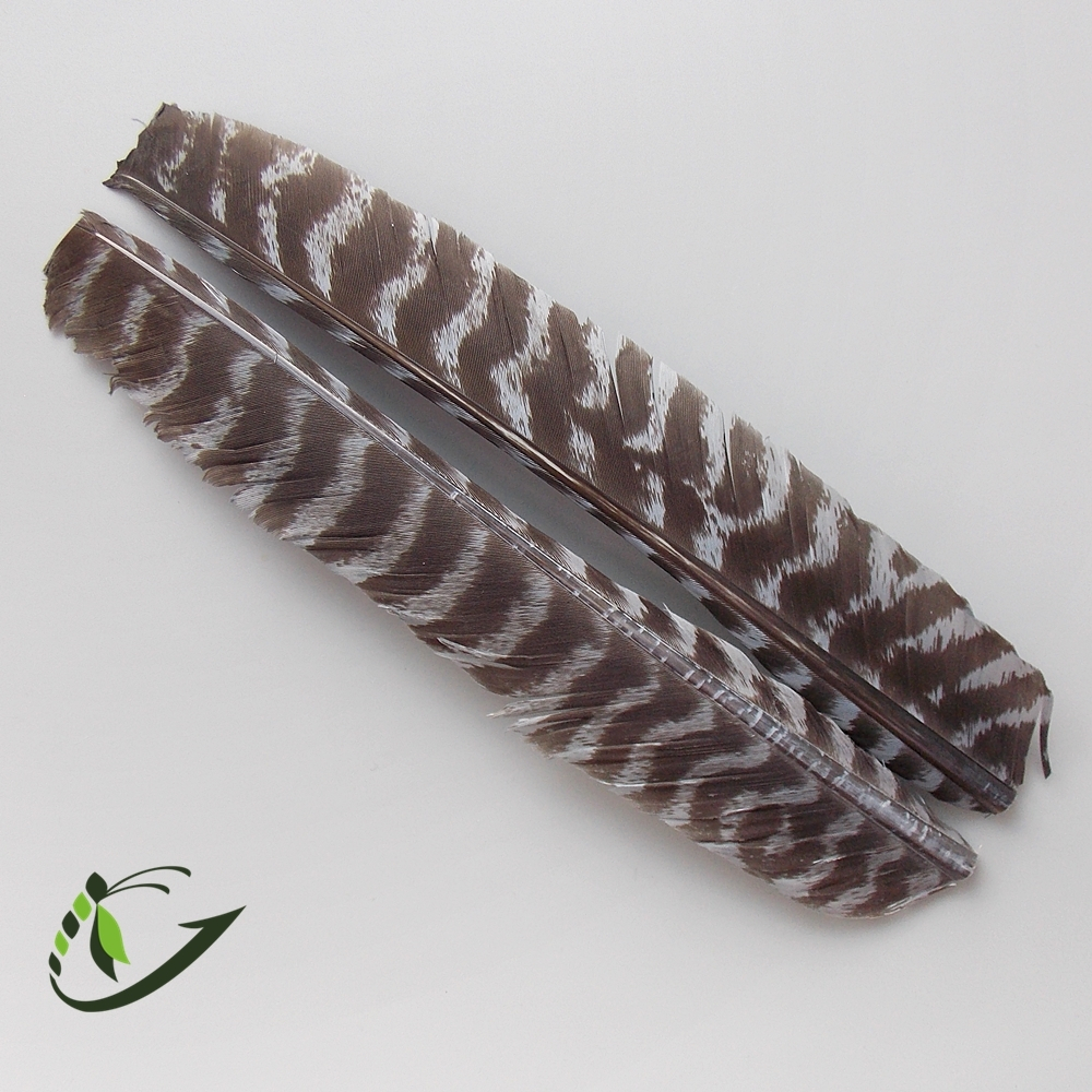 NATURES SPIRIT Перья WILD TURKEY BARRED BIOT QUILLS 1 select pair