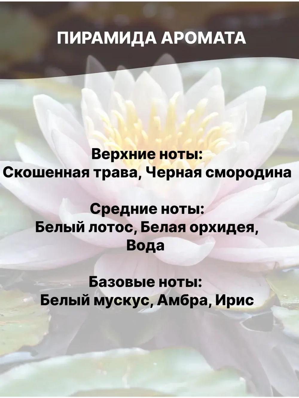 Отдушка Водяная лилия 50 гр