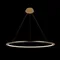 Подвесной светильник Ring 10014XL Loft It