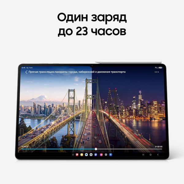 Планшет Samsung Galaxy Tab S12 Ultra 12/256 ГБ Wi-Fi (SM-X940) Серый | Gray